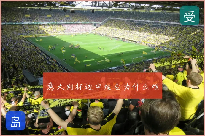 意大利杯边中结合为什么难